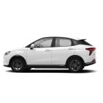 Sz in Stock Neta V Pro Electric Cars Ev Car More Neta U Neta S Best Selling