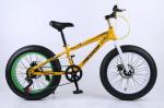 27 Speeds 26 Inch Wheel Electric Snow Bike