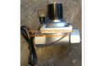 SS 304 Two Ways Solenoid Valve Water Fountain Accessories Underwater Type DC24V