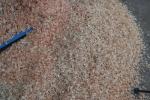 Spiral Shaft Small Industrial Wood Shaving Making Machine For Animal Poultry