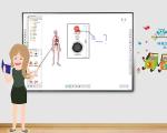 5V Electronic Classroom Smartboard Digital Whiteboards For Business