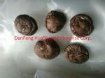 Dried Shiitake Mushroom Spawn