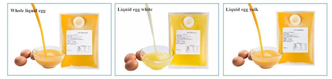 Liquid Egg Breaking Production Line / Liquid Egg Process Plant