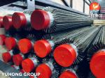ASTM A213 TP316L Longitudinal Finned Tube Furnace Boiler