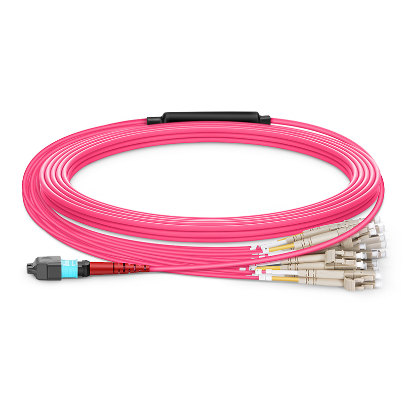 24 Fibers Cluster Branch MPO/MTP Single Mode Fan-out Patch Cord with Return Loss ≥ 50dB