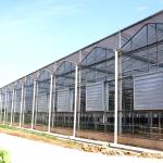 24 X 24 24 X 18 20x30 Venlo Custom Glass Greenhouse Cover Sides Polycarbonate