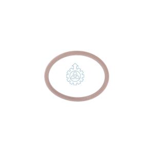 Quality O-ring 17278781 wholesale