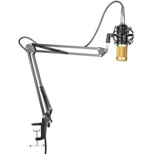 Quality Black Microphone Live Stream Broadcast Recording Microphone Professional Suspension wholesale