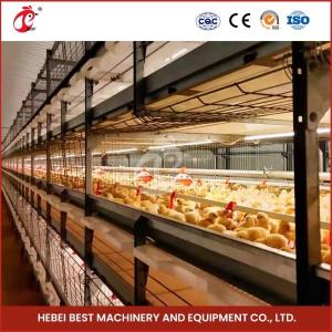 Quality 96-128 Chickens Broiler Chicken Cage Fully Automatic Mia wholesale