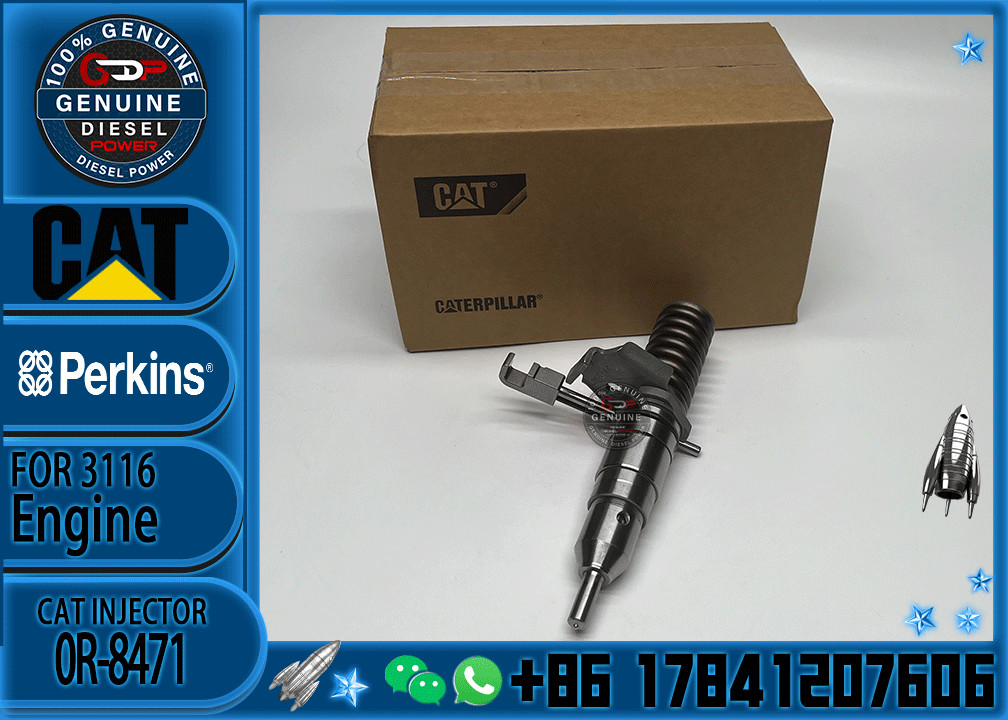 Excavator Parts CAT 3114 3116 3216 Engine fuel injector fuel injector 4P-2995 6I-3669 0R-8471 0R-8475 0R-8473