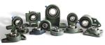 Cast Iron Housing UCFL 300 Series 2 Hole Flange Bearing