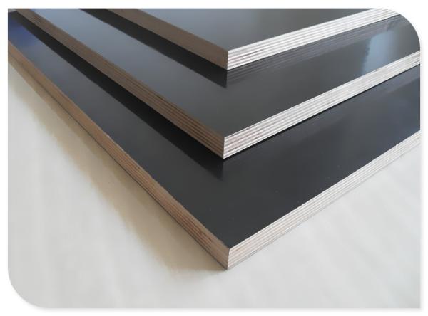 Shandong Linyi factory price 18mm melamine plywood film faced plywood poplar/
