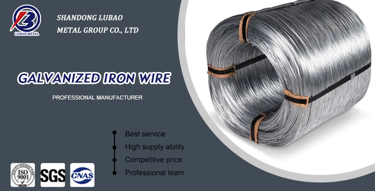Competitive Produce Spring Steel Grade Hot Dipped Galvanized Wire for Barbed Wire Chain Link Fence Welded Wire Hexagonal Mesh