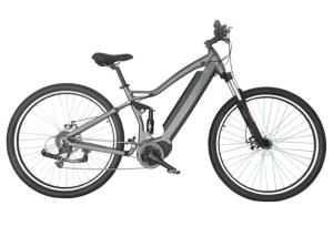 Quality Aluminum Alloy Electric Assist Mountain Bike Lithium Battery LCD Display wholesale