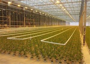Quality Anti Corrosion Greenhouse Rolling Benches Superior Quality Welded Mesh Materials wholesale