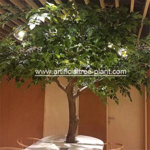 Quality Green Leaves Happiness Artificial Evergreen Trees Ten Years Life Time wholesale
