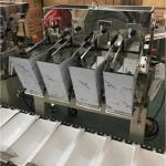Automatic 2/4 Heads Linear Weigher Packaging Machine Weighing Food