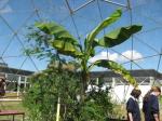 100 % Waterproof Outdoor Geodesic Dome Greenhouse 100-130 Km/H