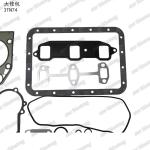Full Gasket Kit Iron 3TN74