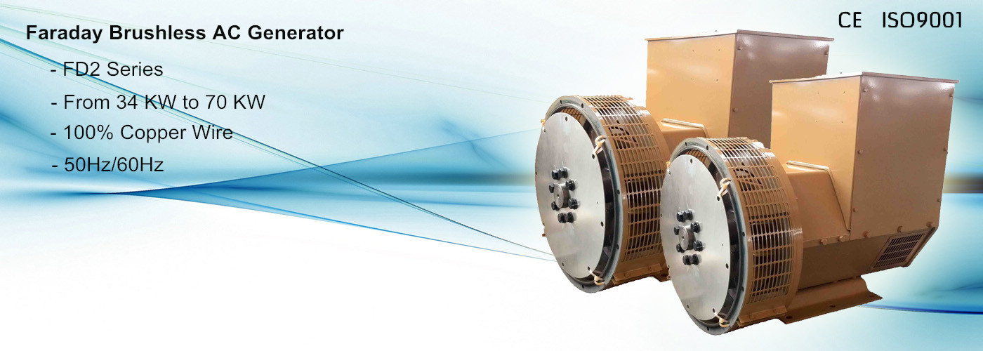 48KW Single Phase Generator Head Brushless Alternator with Cummins Engine