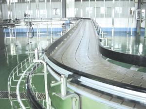 Quality 380V Roller Conveyor Belt Assembly Line For Filling Machine wholesale