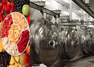 Quality Industrial Food Vacuum Freeze Drying Machine 304 Stainless Steel wholesale