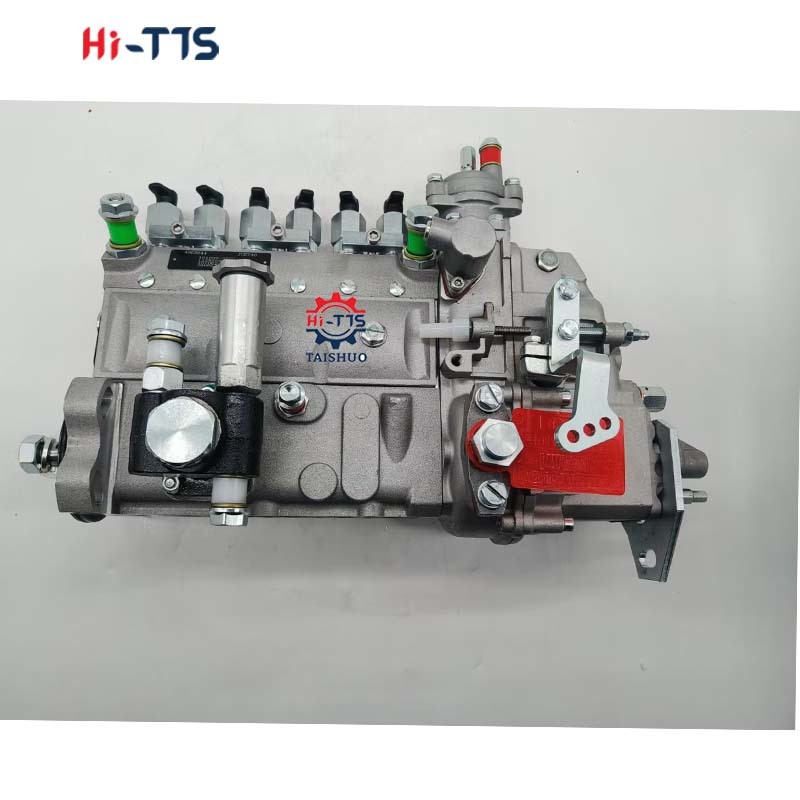 Maden in China Construction Machinery Parts Fuel Injection Pump 4063844 for 6BT5.9 6D102 PC200-7 Engine