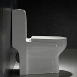 ADA One Piece Elongated Toilet Porcelain Water Closet White Europe Style Ceramic