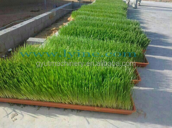 2024 Complete Hydroponic Fodder Container Grow System Perfect for Country Markets
