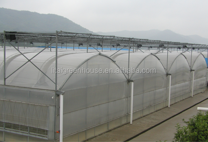 Greenhouse Design for Small Fish Farming and Poultry Cultivation Length Customizable