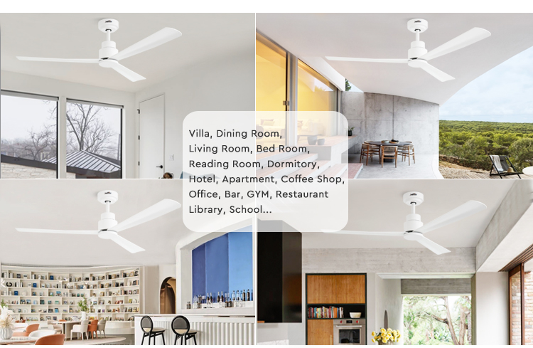 ceiling fan