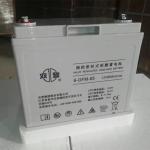 21kg AGM Battery 12V65Ah for Emergency Fire Power Solar Energy Storage Power