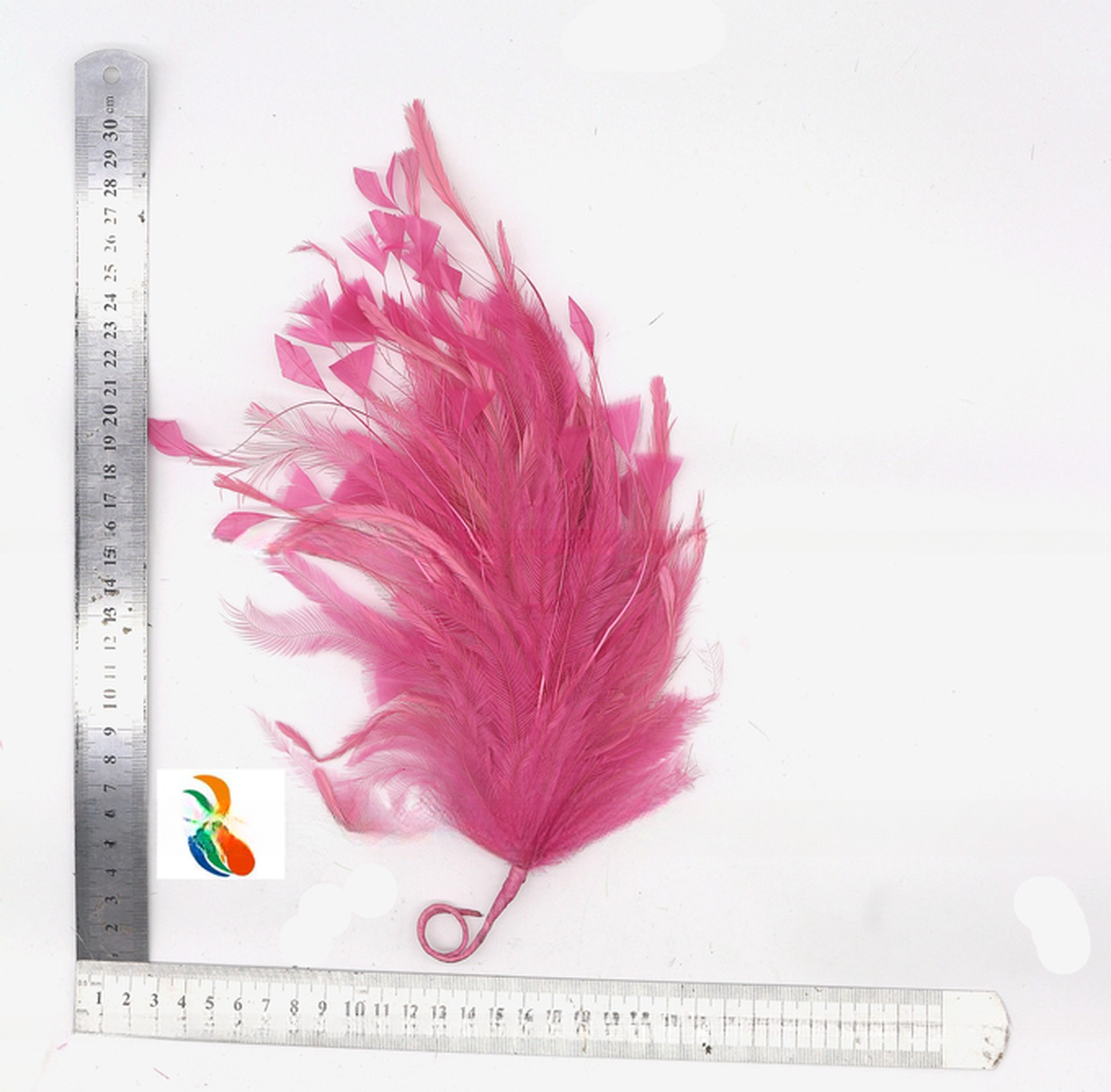 Create a Spooky Atmosphere with 15*30 cm Emu Feather Flower Mount and Wire Accessory