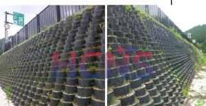 Quality 75mm Plastic Gravel Stabilizer Geocell Ground Grid Driveway wholesale