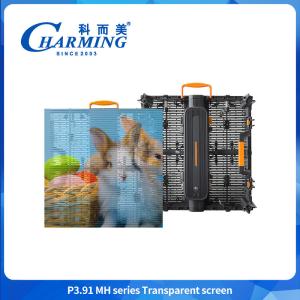Quality 5000nits P3.91 Outdoor Led Transparent Video Wall Glass Led Display wholesale