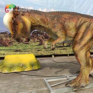 Quality Theme Park 3M Animatronic Dinsoaur Life Size Pachycephalosaurus For Amusement Park wholesale