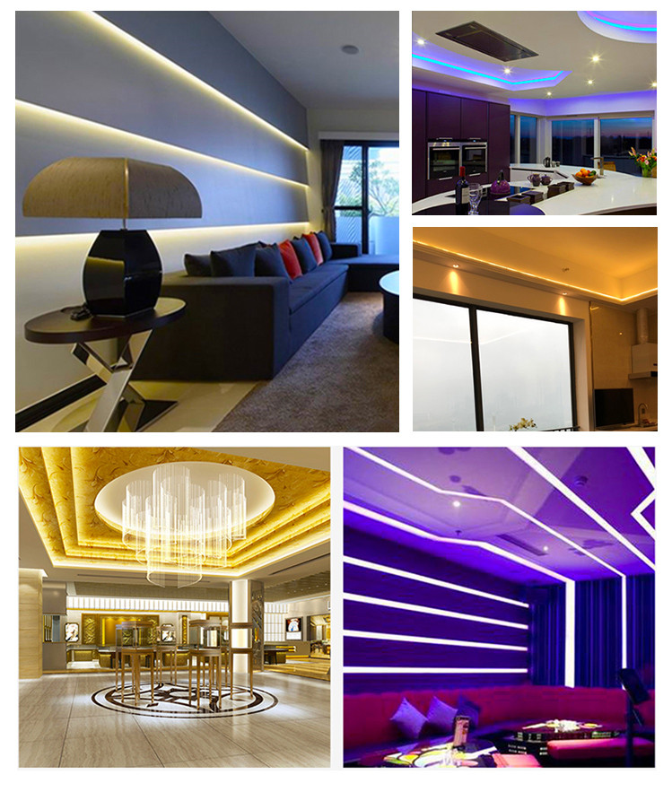 240V/230V/110V/220V RGB 5050 LED Strip Lights for Landscape with Remote IP65 Plastic Body