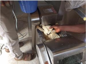 Quality stainless steel plantain yam potato chips cutting machine YQC600 model wholesale