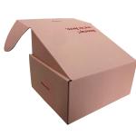 CMYK Color Carton Mailer Shipping Boxes Exquisite Craft Paper Box Packaging