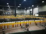 500ml Bottle Fruit Juice Ultra Clean Filling Machine