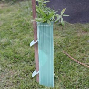 Quality Green PP Hollow Corflute Tree Guard Biodegradable Tree Shelters wholesale