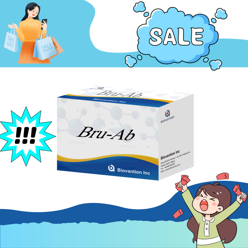 ELISA Animal Bru-Ab Elisa Reagent With 192t For Pigs Goats Cattle And Sheep