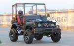 Mini Jeep 4WD Racing ATV Sports Go Kart Buggy For Adult , 300cc Go Kart