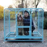 Q195 Q235 Livestock Fence Panels Powder Coated 36x24 Dog Crate