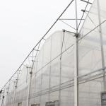 Hot Dip Galvanized Steel Tube Frame Multi Span Agricultural Greenhouse