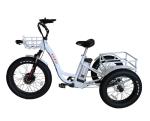 Aluminum Alloy Frame 48V 500W 3 Wheels Electric Cargo Tricycle with 24"x4.0 Fat