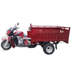 Quality Rear Load Gasoline 1.5t 200w 5 Wheel Motorcycle wholesale