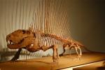 Huge Complete Dinosaur Fossil Model For Shopping Mall / Open Air Museum