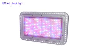 Quality 200W IR UV white led plant light , indoor greenhouse full spectrum layout led grow lighting wholesale