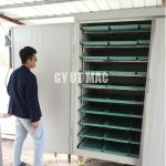 500kg/day Capacity Sprout Production Machines for Fast Manufacturing Plant